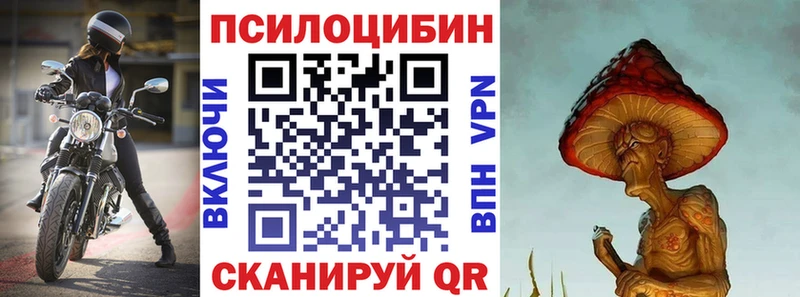 где купить наркоту  Северо-Курильск  Псилоцибиновые грибы мицелий 